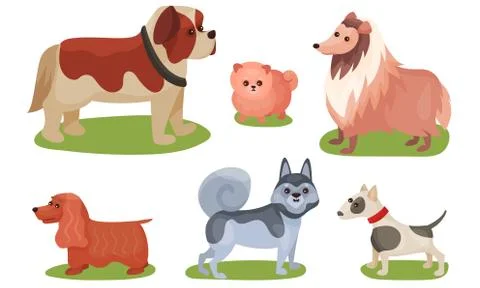 Vector Illustration Concept With Dogs Breed Isolated On White Background Stock Illustration