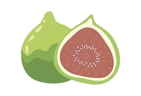 Vector illustration. Concept of healthy eating. Figs, purple whole fruit an.. Stock Illustration