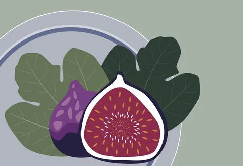 Vector illustration. Concept of healthy eating. Figs, purple whole fruit an.. Stock Illustration