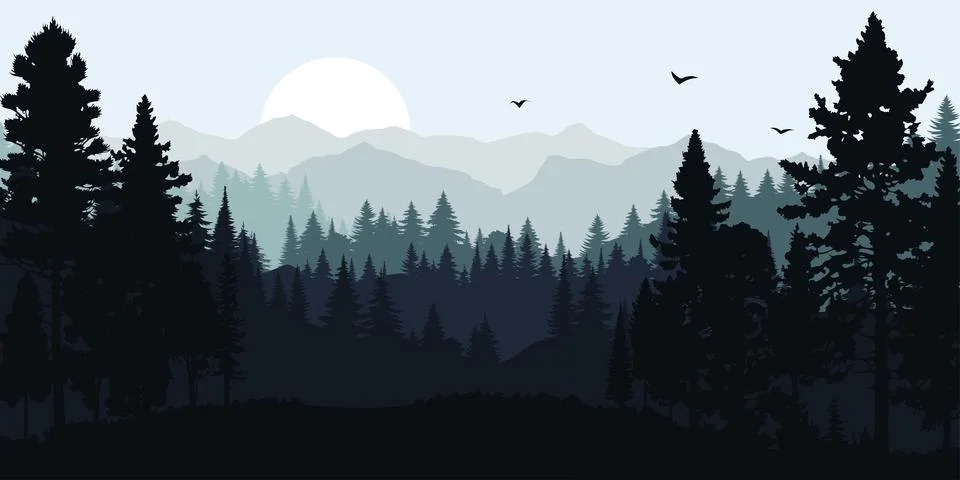 Vector illustration of a coniferous forest with trees in silhouette against.. Stock Illustration