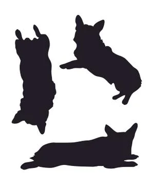 Vector illustration of corgi dogs drawing silhouette Stock Illustration