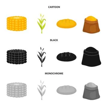 Vector illustration of cornfield and vegetable logo. Set of cornfield and Stock Illustration