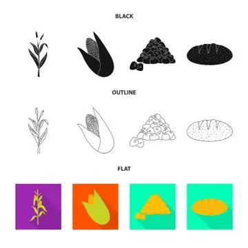 Vector illustration of cornfield and vegetable logo. Collection of cornfield and Stock Illustration