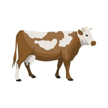 Vector illustration of a cow Stock Illustration