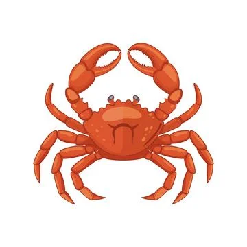Vector illustration. Crab isolated on white background. Stock Illustration