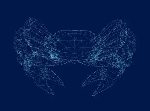 Vector illustration of crab wireframe made of blue lines isolated on dark Stock Illustration