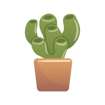 Vector illustration of Crassula Ovata Hobbit succulent with tubular green leaves Stock Illustration