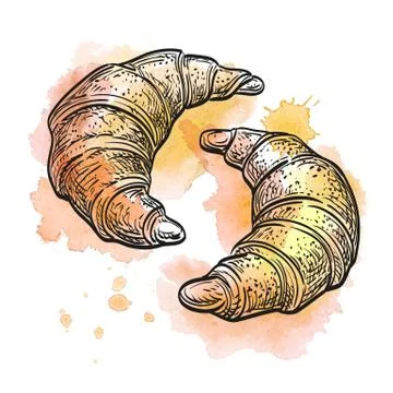 Vector illustration of croissants. Stock Illustration