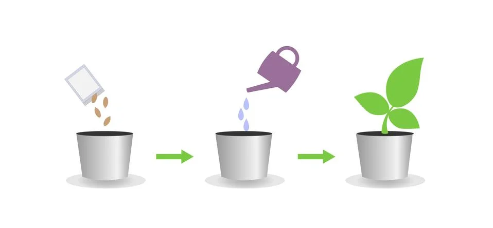 Vector illustration of the crop growing process Stock Illustration