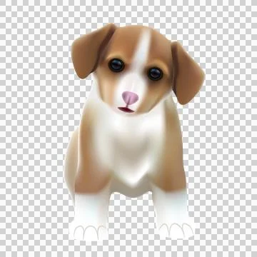 Vector illustration of a cute dog Stock Illustration