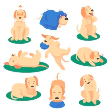 Vector illustration of cute dog playing with various objects Stock Illustration