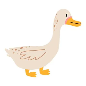 Vector illustration of a cute duck. Stock Illustration