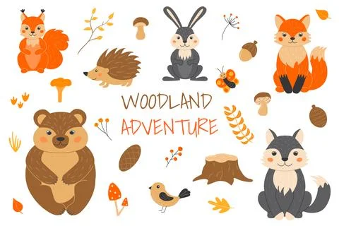Vector illustration with cute forest animals in cartoon style. Squirrel, fo.. Stock Illustration
