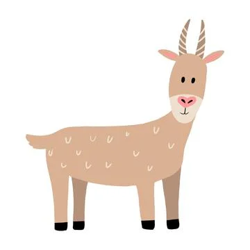 Vector illustration of a cute goat. Stock Illustration