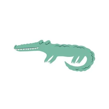 Vector illustration with cute green hand drawn baby crocodile isolated on w.. Stock Illustration