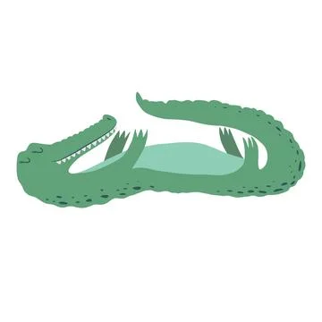 Vector illustration with cute hand drawn green crocodile isolated on white .. Stock Illustration