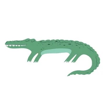 Vector illustration with cute hand drawn green crocodile isolated on white .. Stock Illustration
