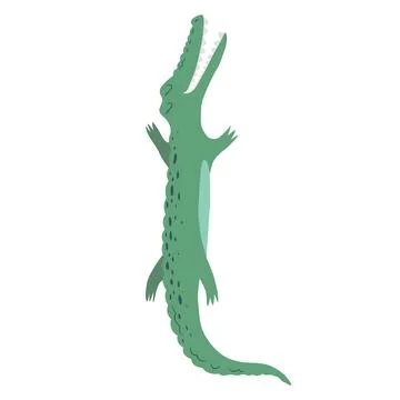 Vector illustration with cute hand drawn green crocodile isolated on white .. Stock Illustration