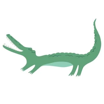 Vector illustration with cute hand drawn green crocodile isolated on white .. Illustrazione stock