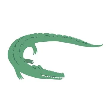 Vector illustration with cute hand drawn green crocodile isolated on white .. Stock Illustration