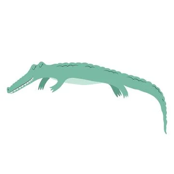 Vector illustration with cute hand drawn green crocodile isolated on white .. Stock Illustration