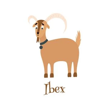 Vector illustration of a cute ibex with big horns. Stock Illustration