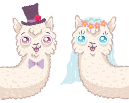 Vector illustration of a cute llamas for wedding invitation. Cute alpaca. 库存插图