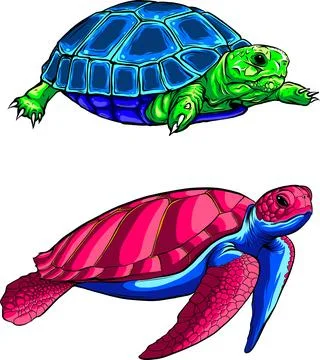 Vector illustration of cute turtle set on white background. digital hand draw Stock Illustration