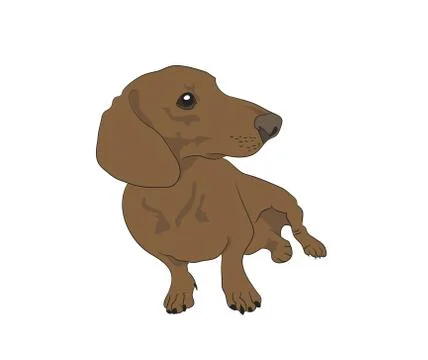 Vector illustration of a dachshund that sits, colored drawing Illustrazione stock