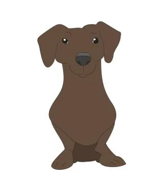 Vector illustration of a dachshund that sits, colored drawing Illustrazione stock