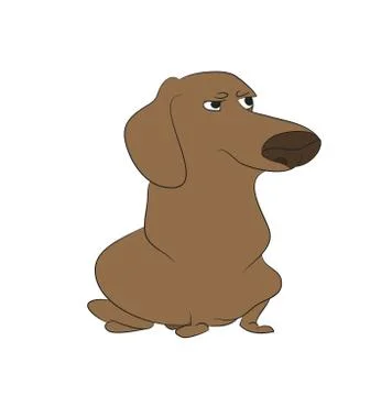 Vector illustration of a dachshund that sits, colored drawing Stock Illustration