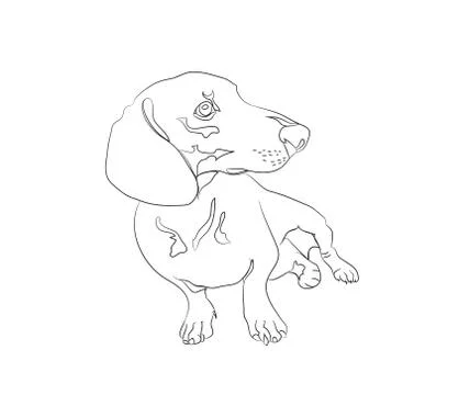 Vector illustration of a dachshund that sits, drawing lines Illustrazione stock
