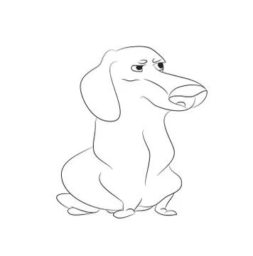 Vector illustration of a dachshund that sits, drawing lines Stock-Illustration