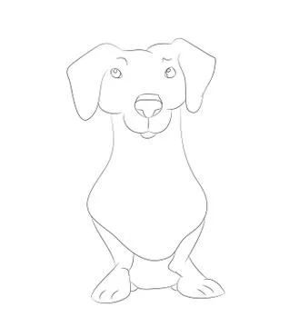 Vector illustration of a dachshund that sits, drawing lines Illustrazione stock