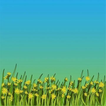 Vector illustration - Dandelion botanical isolated illustration. Plant, flowe Stock Illustration