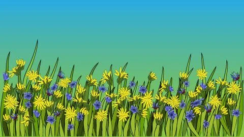 Vector illustration - Dandelion botanical isolated illustration. Plant, flowe Stock Illustration