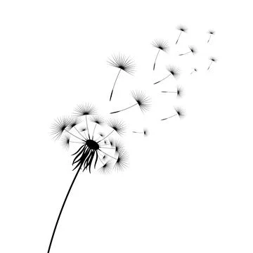 Vector illustration dandelion time. Black Dandelion seeds blowing in the wind. Stock Illustration