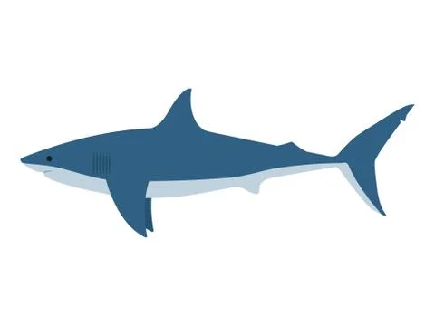 Vector illustration dangerous great white shark Stock Illustration