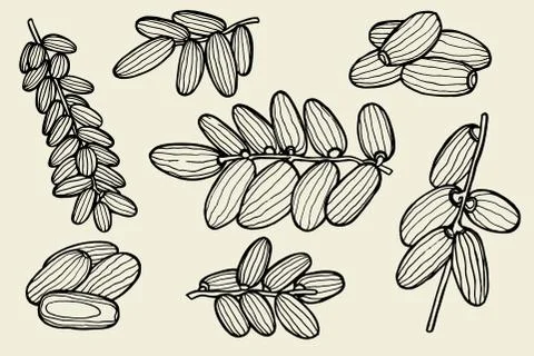 Vector illustration of dates Illustrazione stock