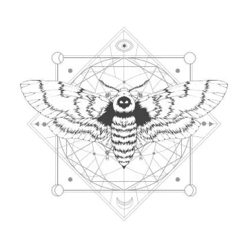 Vector illustration with dead head moth and Sacred geometric symbol Stock Illustration