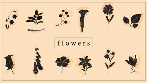 Vector illustration of decorative flowers and plants in black. EPS 10 Stock Illustration