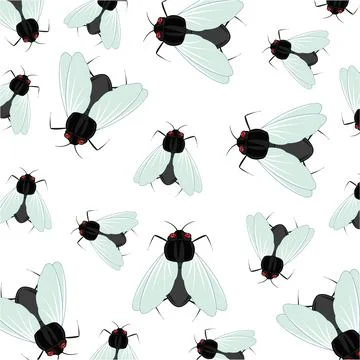 Vector illustration of the decorative pattern from insect fly Stock Illustration