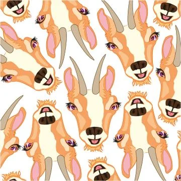 Vector illustration of the decorative pattern of the mug animal chamois Stock Illustration
