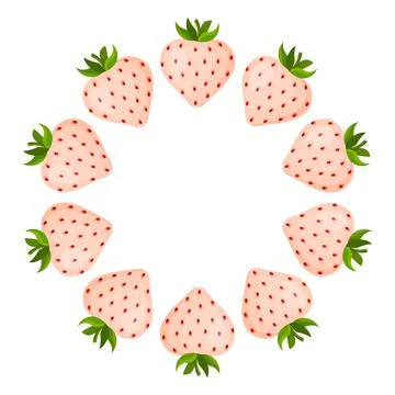 Vector illustration of decorative pineberry fruit frame. Stock Illustration
