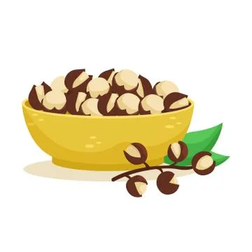Vector illustration of a deep plate with a slide of macadamia. Nuts. Illustrazione stock