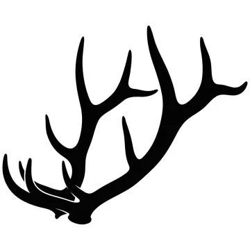 Vector Illustration of Deer Antlers Isolated on a Plain White Background Stockillustratie