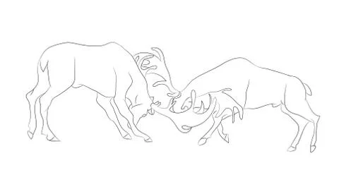 Vector illustration of a deer fighting, drawing by lines Stock Illustration