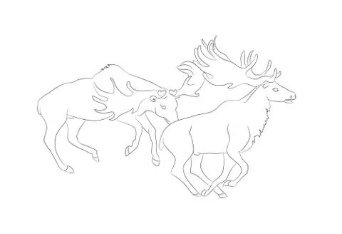 Vector illustration of a deer fighting, drawing by lines Stock-Illustration