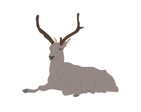Vector illustration of a deer that lies, drawing color vector Illustrazione stock