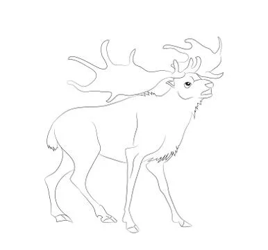 Vector illustration deer stands drawing lines, Stock Illustration